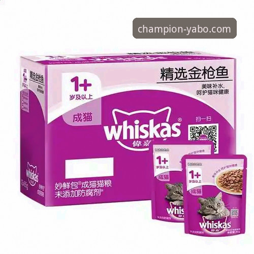 如何获取并安装雅博体育官方APP？一份详尽的雅博体育使用教程安装指南