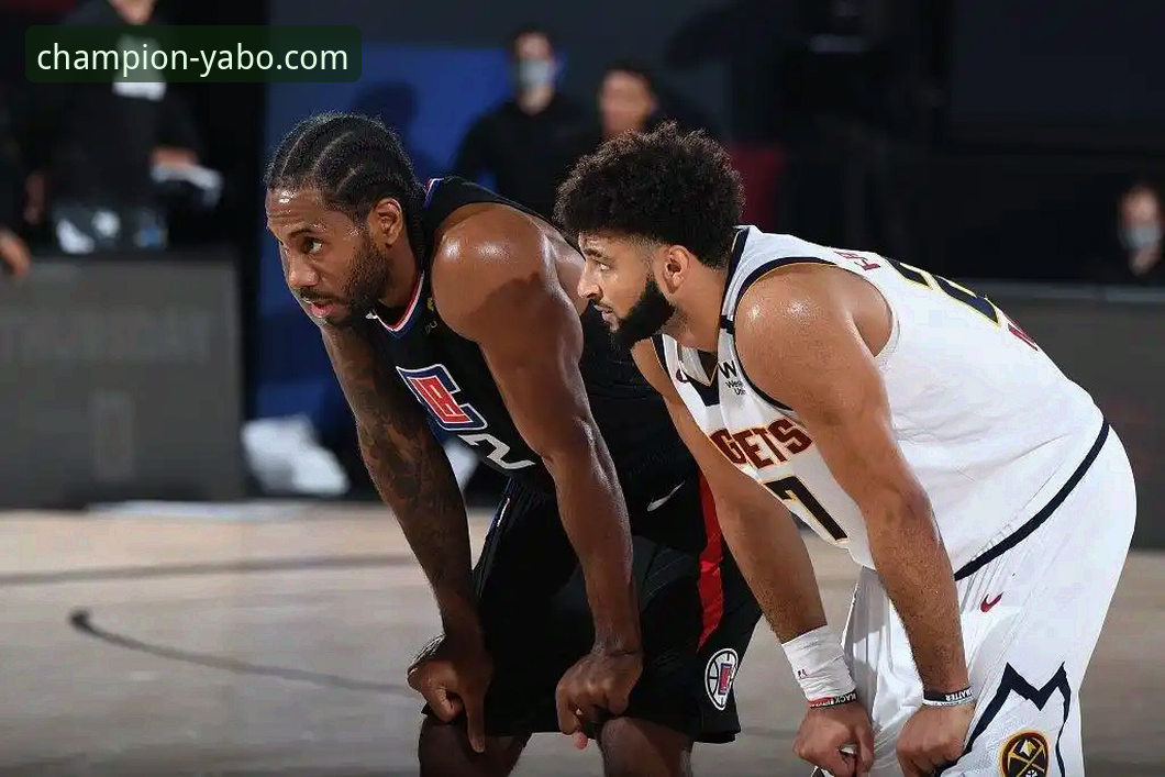 雅博体育官方网站手机版：从下载到精通的全方位使用指南